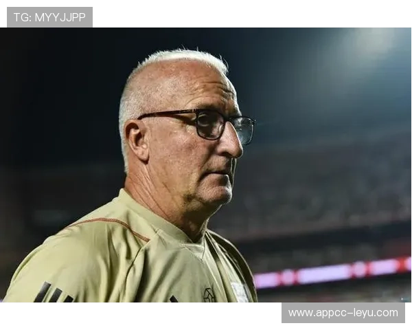 胡尔克职业转型之路：37岁重返巴西足坛，如何在逆境中寻找新机遇？